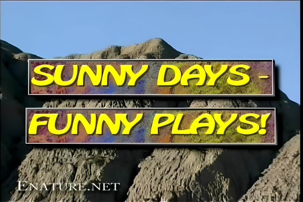 Enature - Sunny Days – Funny Plays - A nudist values sincerity, honesty, and openness in relationships