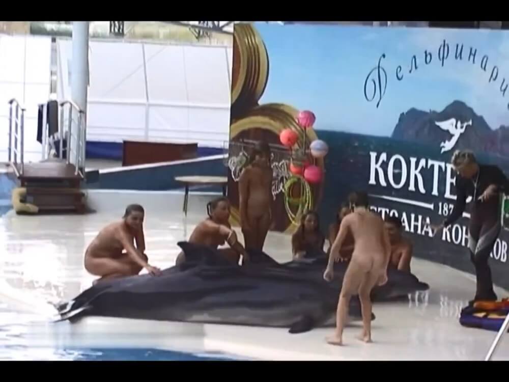 Relaxing at the dolphinarium - Nudity as part of a life free from shame and fear of ones own nakedness